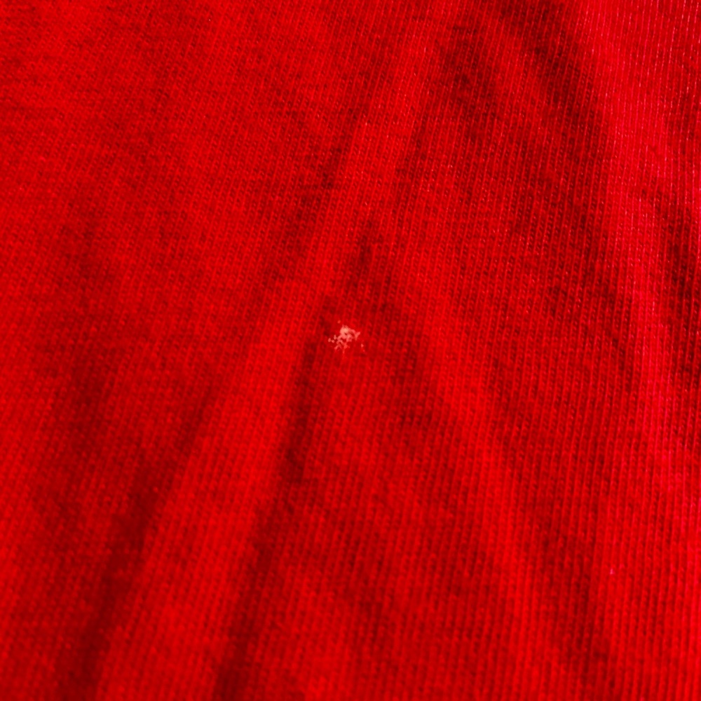 LIR Clothing t-shirt with leopard print - Picture 15 of 16